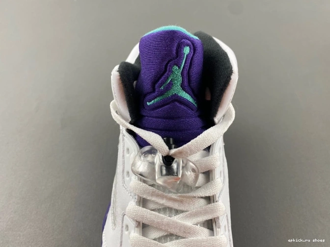 Cheap Air Grape 5 Jordan 136027-108 (2013) Retro 0817